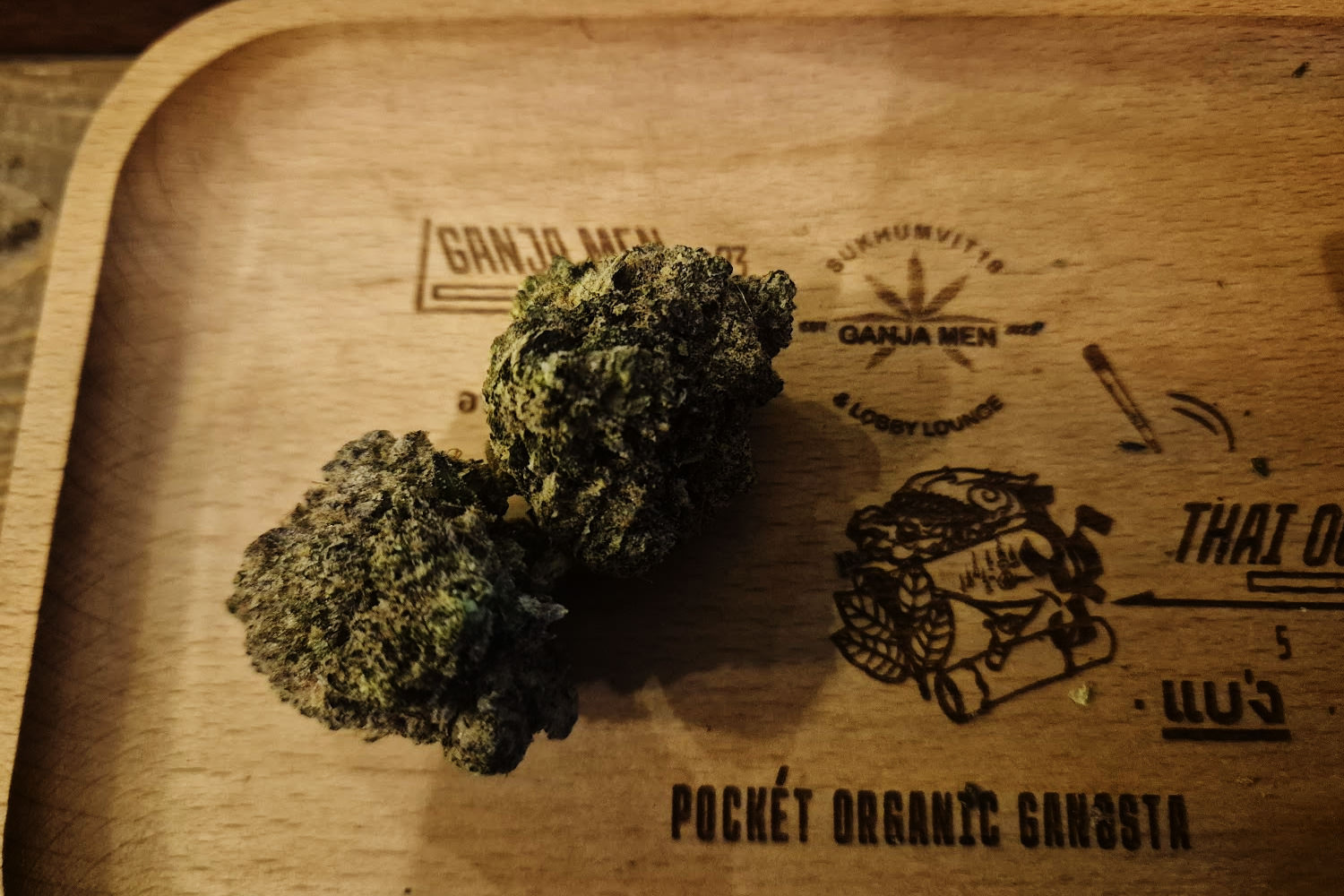 GANJA MEN 420 best-selling strain Gushlato — Bangkok Asok cannabis dispensary