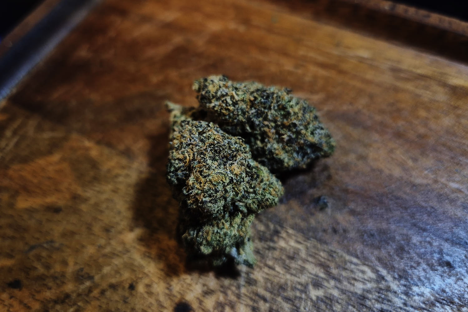 Kush House 420 best-selling strain RS11 — Bangkok Phrom Phong hybrid cannabis