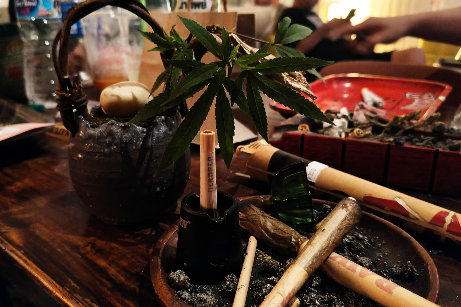 Cho Cho Hemp on 420 — Bangkok Thong Lo budget-friendly dispensary popular with Japanese cannabis enthusiasts