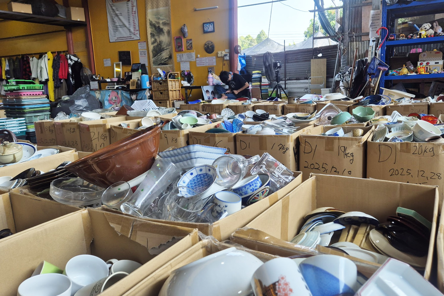 Searching through cardboard boxes of Japanese ceramics at Kanpai Reuse Pattaya, looking for cannabis bonsai vessels
