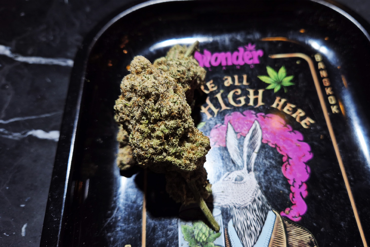 MAC1 hybrid cannabis strain available at Wonderland Bangkok