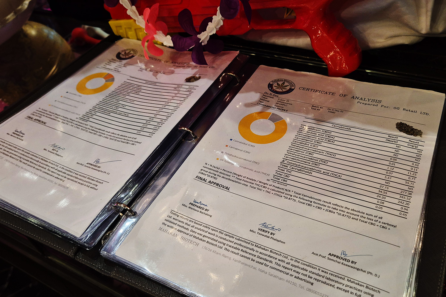 Wonderland Bangkok sofa seating area — relaxed space for browsing cannabis strains