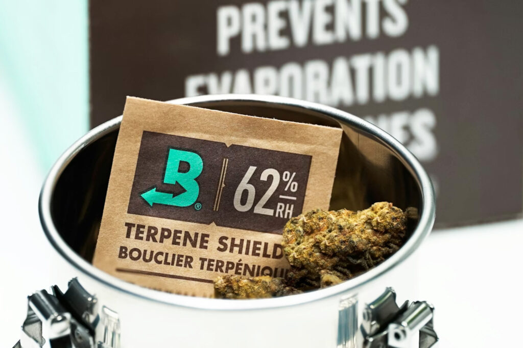古い大麻は劣化なのか？THC・テルペン・CBNの変化と体感への影響を整理する