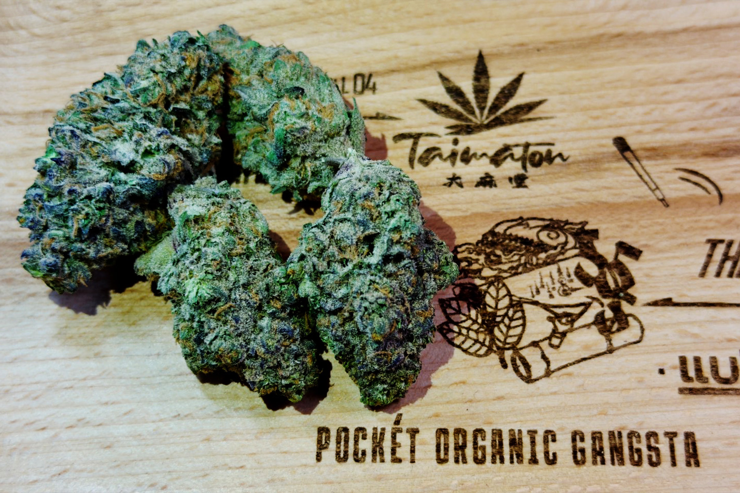 710 Papaya大麻品種のバッズ｜パタヤ TAIMATON 大麻堂で販売されるSuper Bomb Punch