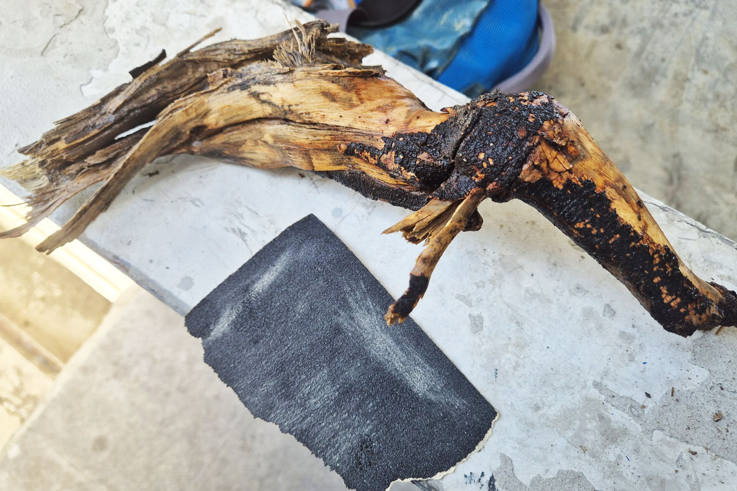 Sanding driftwood for a cannabis bonsai piece