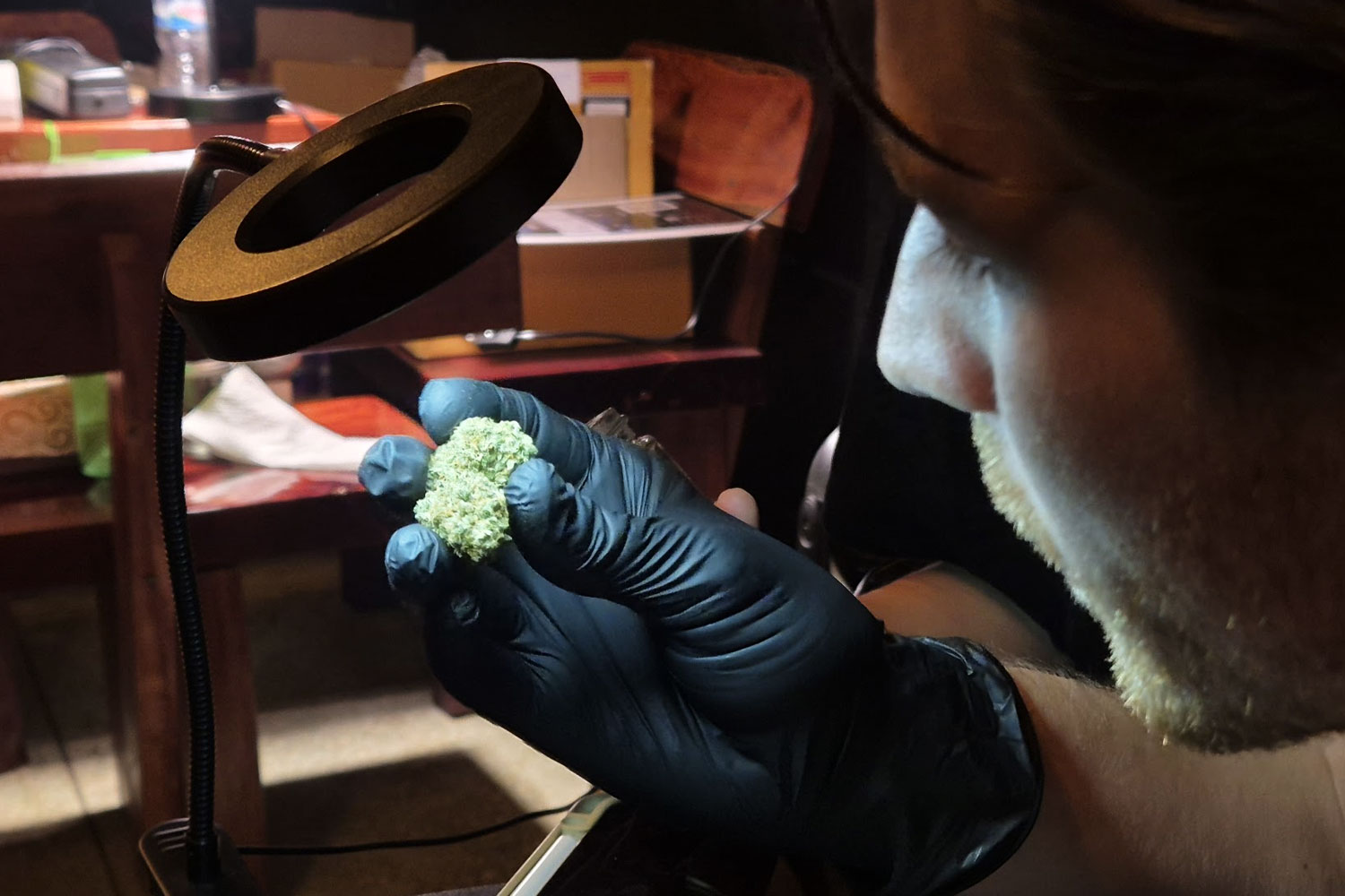 Duckies Dispensary interior, a cannabis shop with high-quality flower in Ekkamai