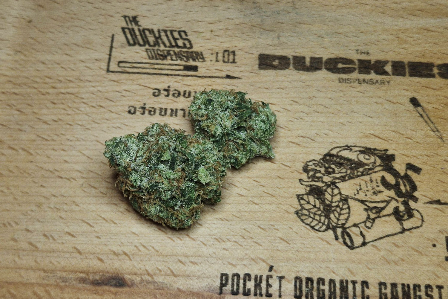 Pink Sour Peaches flower, a medical cannabis strain with peach and citrus aroma