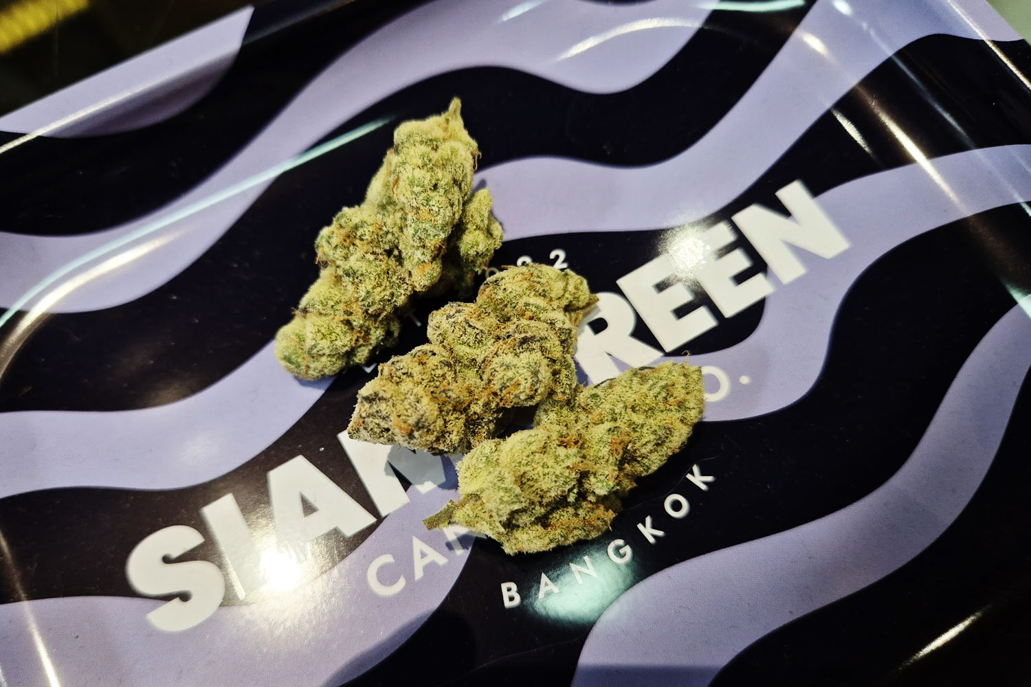 Grape Skank hybrid cannabis strain Siam Green Bangkok